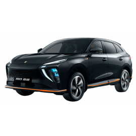 DONGFENG FRIDAY (ELÉCTRICO)