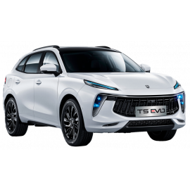 DONGFENG T5 EVO